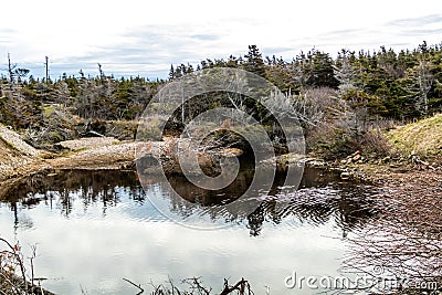 Vessels Brook ponds and the vire of the St Lawrence Seasway, Gros Morne National Park, Newfoundland, Canada Stock Photo