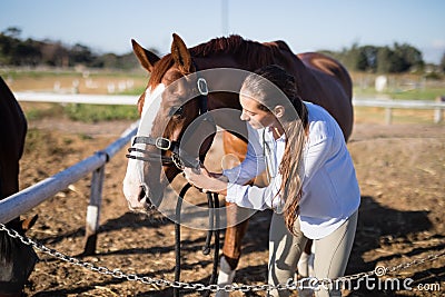 Vet adjusting horse bridle at barn during sunny day Stock Photo