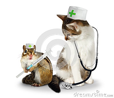 Vet concept, funny doctor chipmunk and cat with phonendoscope a Stock Photo