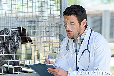 Vet by dogs cage writing on clipboard Stock Photo