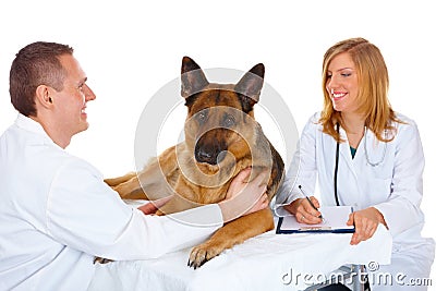 Vet examining dog Stock Photo