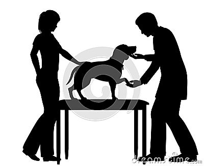 Vet examining dog Vector Illustration