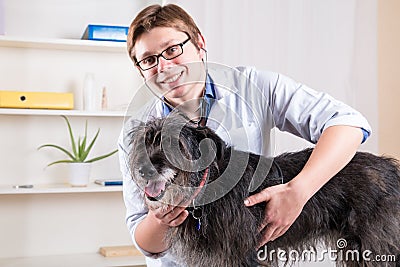 Vet examining a dog with a stethoscope in the office Stock Photo