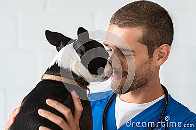 Vet loving pet dog Stock Photo