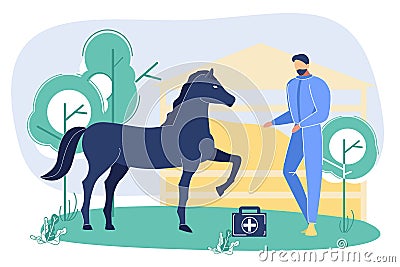 Vet Petting and Examining Horse Outdoors at Ranch Vector Illustration