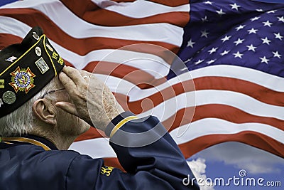 Veteran's Saluting Stock Photo