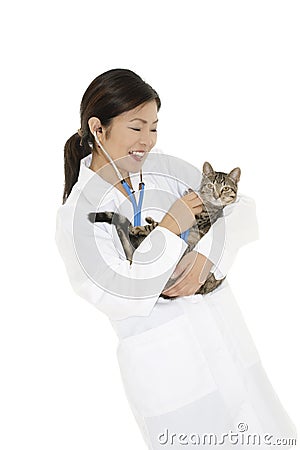 Asian woman Veterinarian examining a kitten Stock Photo