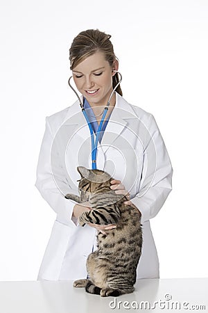 Beautiful Caucasian woman Veterinarian examining a kitten Stock Photo