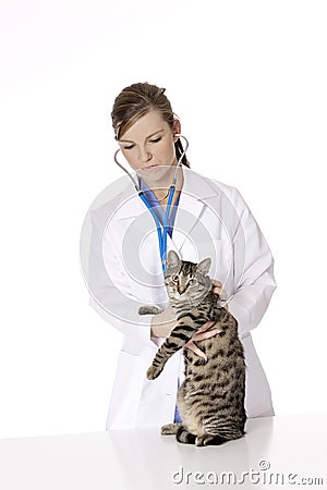 Beautiful Caucasian woman Veterinarian examining a kitten Stock Photo