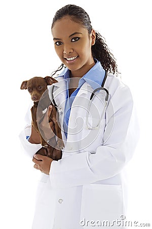 Veterinarian Stock Photo