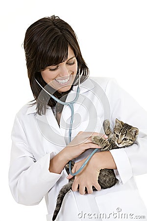 Caucasian woman Veterinarian examining a kitten Stock Photo