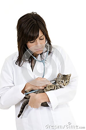 Caucasian woman Veterinarian examining a kitten Stock Photo