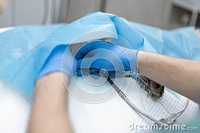 Veterinarian anesthesiologist check condition of patient and adjust drug dose Stock Photo