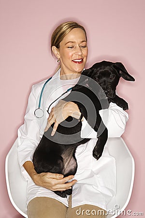 Veterinarian with black puppy. Stock Photo