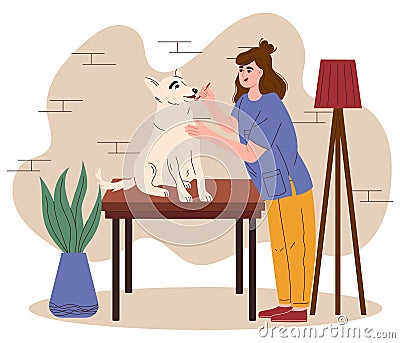 Veterinarian cleans the dog's teeth. Veterinary doctor appointment. Maintaining healthy dog teeth and gums. Gum Vector Illustration