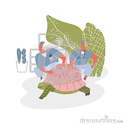 Veterinarian doctors examines the big turtle in the veterinary clinic Vector Illustration