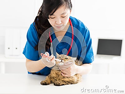 Veterinarian Feeding and healing the sick cat Stock Photo