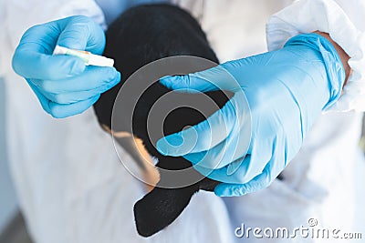 Veterinarian specialist holding small black dog and applying drops at the withers, medicine from parasites, ticks, worms and fleas Stock Photo