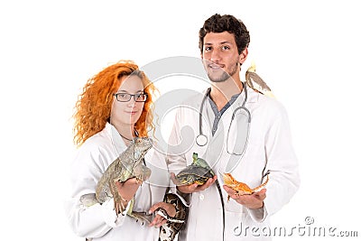 Veterinarian team Stock Photo