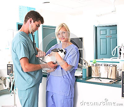 Veterinary Clinic Stock Photo