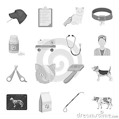 Veterinary clinic set icons in monochrome style. Big collection of veterinary clinic vector symbol stock illustration Vector Illustration