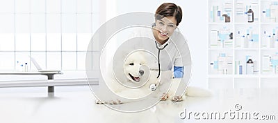 veterinary examination dog, smiling veterinarian with stethoscope on table in vet clinic Stock Photo