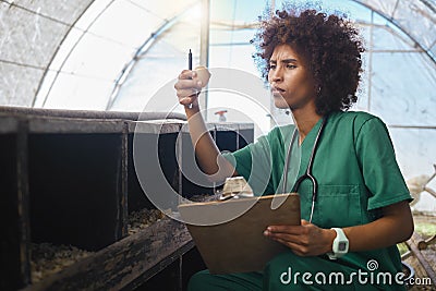 Veterinary, farm and black woman with egg and clipboard for health checklist, wellness and inspection. Chicken farming Stock Photo