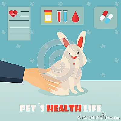 Veterinary medicine hospital, doctor with cute rabbit. Health care or treatment for wild or domestic animals. Vector Illustration