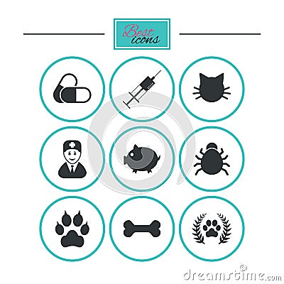 Veterinary, pets icons. Paw, syringe and bone. Vector Illustration