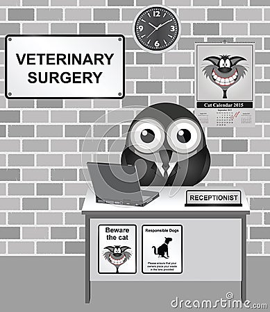 Veterinary Surgery Stock Photo