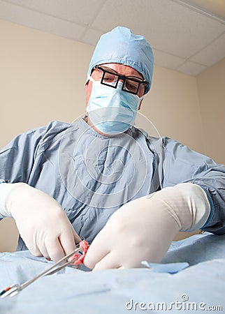 Veterniarian performing spay operation on dog Stock Photo