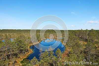 Vew of the Estonian Viru Raba bog with several small lakes and coniferous forest of firs and pines Stock Photo