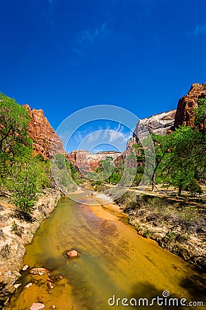 The Virgin River in Zion National Park, Utah Stock Photo