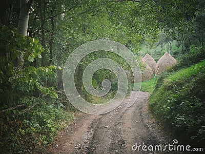 Via Transilvanica trail in Mehedinti Mountains, Romania, Europe Stock Photo