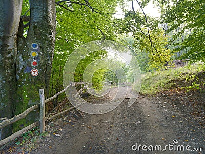 Via Transilvanica trail in Mehedinti Mountains, Romania, Europe Stock Photo