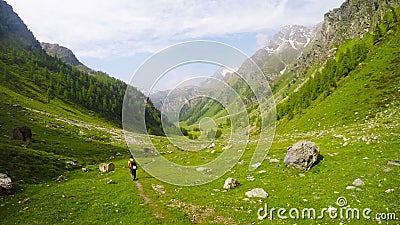 Viaggiatore con zaino e sacco a pelo che fa un'escursione nel paesaggio idilliaco Avventure ed esplorazione di estate sulle alpi, archivi video Viaggiatore con zaino e sacco a pelo che fa un'escursione nel paesaggio idilliaco Avventure ed esplorazione di estate sulle alpi, archivi video