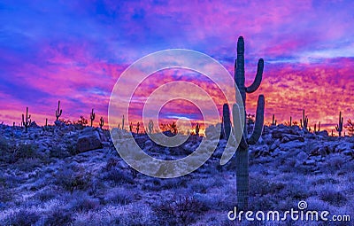 Vibrant Arizona Sunrise With Cactus On Ridge Stock Photo