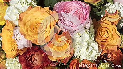 Vibrant bouquet of flowers with yellow-orange roses pink and orange buttercups white guilder roses Stock Photo