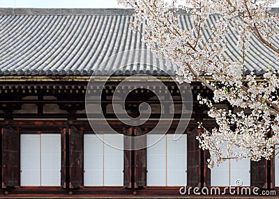 A vibrant cherry blossom tree Sakura blooming by a majestic traditional Japanese architecture with wooden eaves Stock Photo