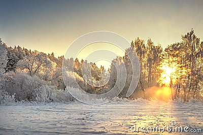 Vibrant Christmas winter landscape on sunrise. Warm sunlight in morning winter nature. Frost and fog in clear sunny morning. Stock Photo