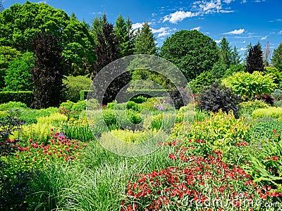 A vibrant, colourful, densely planted garden in the UK, taken on a sunny day in summer Editorial Stock Photo