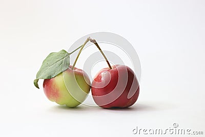 Vibrant crab apples with attached leaf isolated on a white Stock Photo