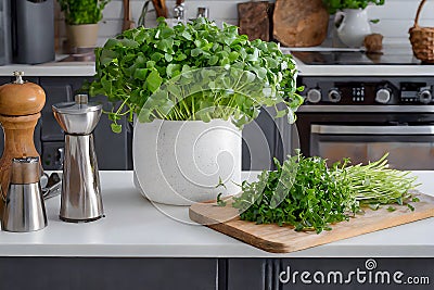 A vibrant display of fresh watercress in a contemporary kitchen setting, highlighting health and gourmet cooking Stock Photo