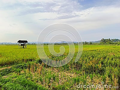 Vibrant Farmland and Rolling Hills in the Countryside 1 Stock Photo