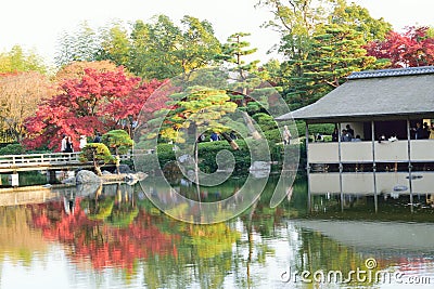 Vibrant Japanese autumn maple leaves Landscape around pond waters Editorial Stock Photo