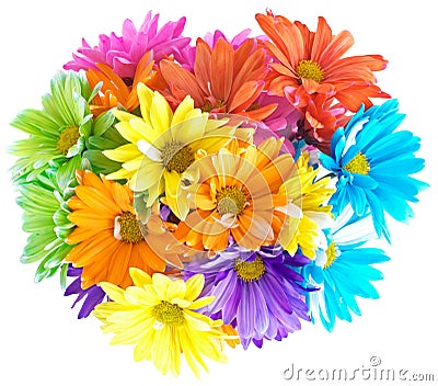 Vibrant Multicolored Daisy Bouquet Stock Photo