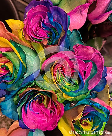 Vibrant Multicolored Roses for Valentines Day Stock Photo