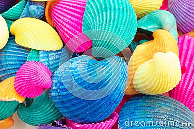 Vibrant Multicolored Seashells Stock Photo