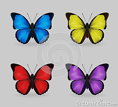 Vibrant multy color insect blue morpho butterflies Vector Illustration