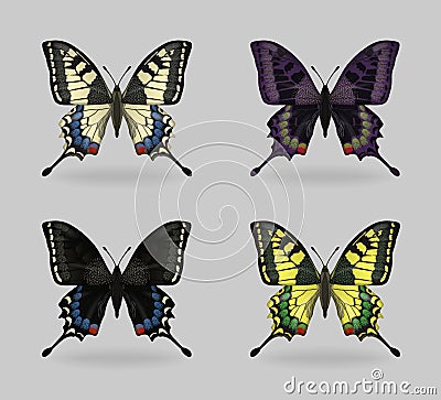 Vibrant multy color insect Papilio machaon butterflies Vector Illustration